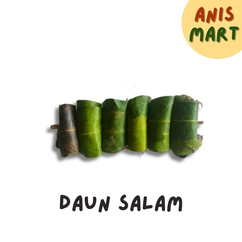 

KIRIM INSTAN Daun Salam