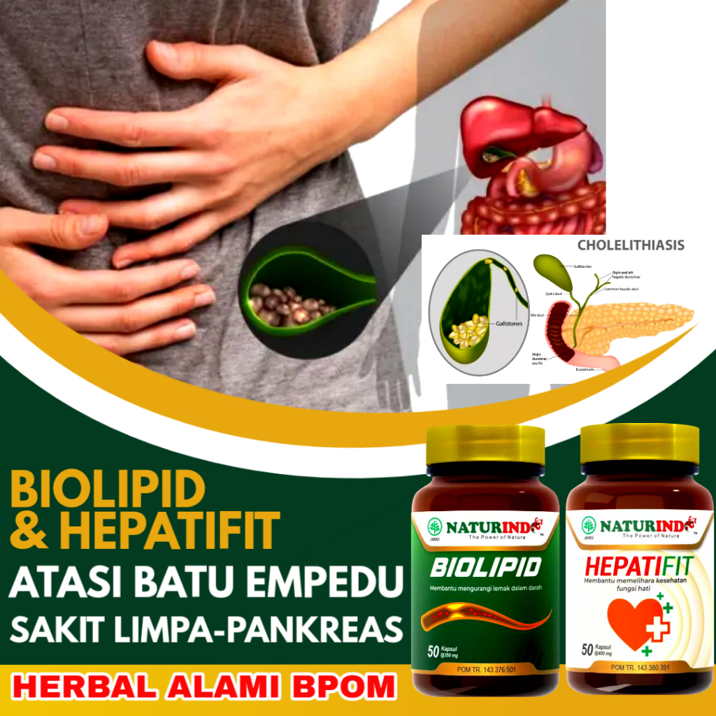 Naturindo Biolipid Hepatifit Obat Batu Empedu Batu Ginjal Kencing Batu Tanpa Operasi Ampuh Original