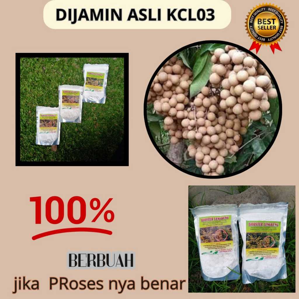 TERBAIK  Pupuk Buah Kelengkeng Potasium