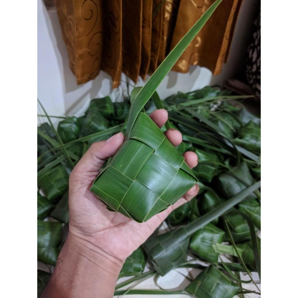 

Cangkang Ketupat Hijau bagus
