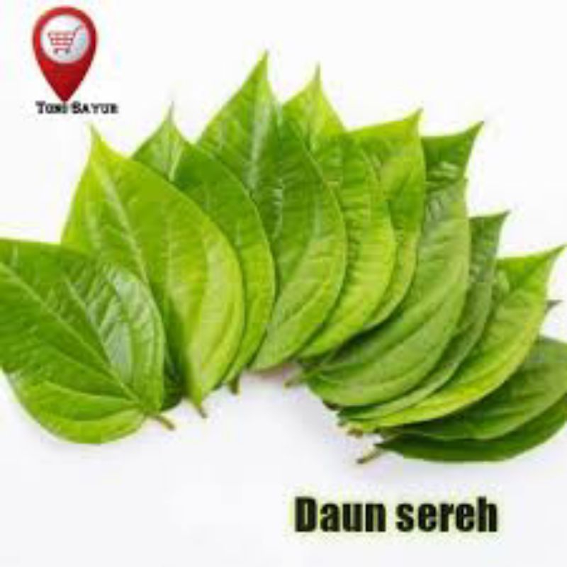 

daun sirih wangi khasiat per 50 lembar di petik dadakan