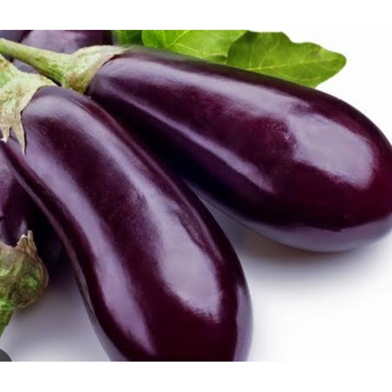 

terong ungu besar panjang segar fress 1kg