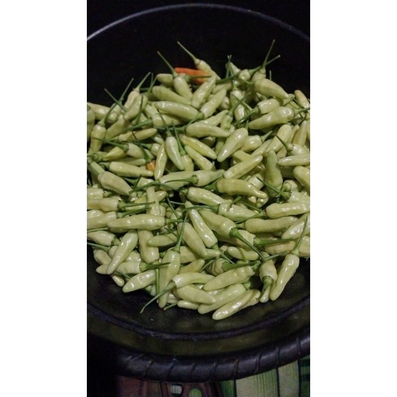 

CABAI RAWIT HIJAU SEGAR FRESS 250g