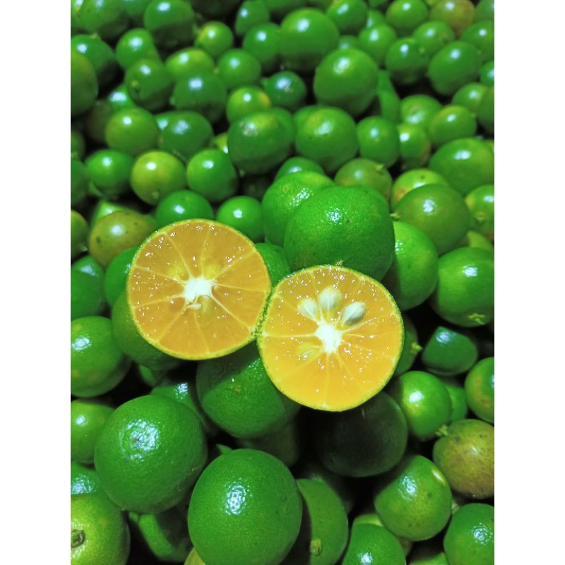 

2KG JERUK KASTURI JERUK SONKIT FRESH SEGAR (UKURAN RANDOM)