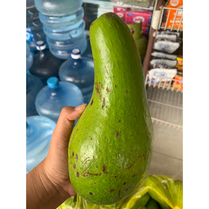 

alpukat mentega