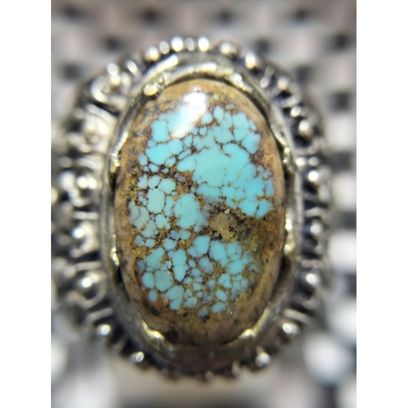 PIRUS PERSIA BIRU