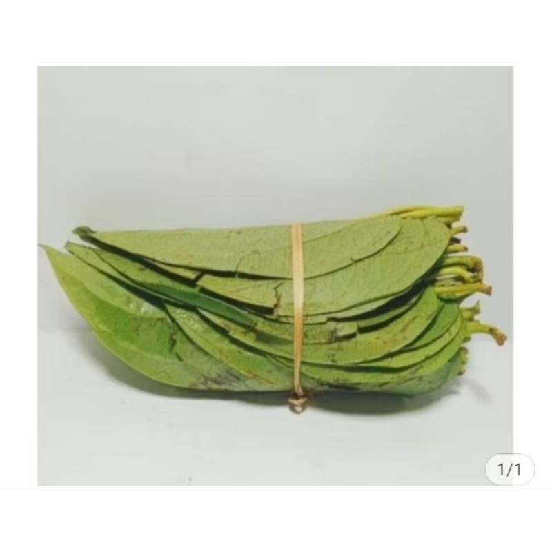 

Daun Sirih Segar Per Ikat
