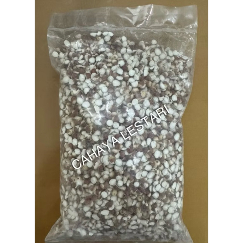 

100g PREMIUM Qian Shi / Euryale Seed / Fox Nut / Kiansep - Pencernaan