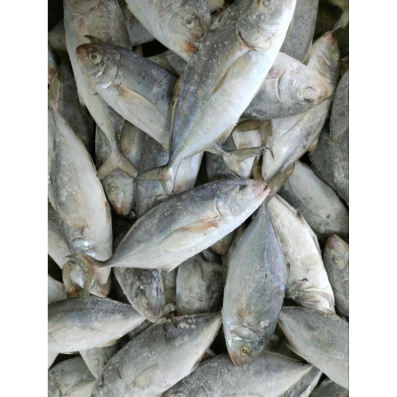

ikan kue lilin size 600-700 gram per ekor