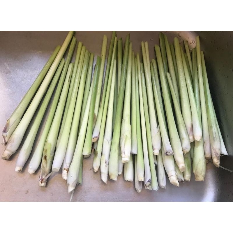 

batang sereh segar 500g