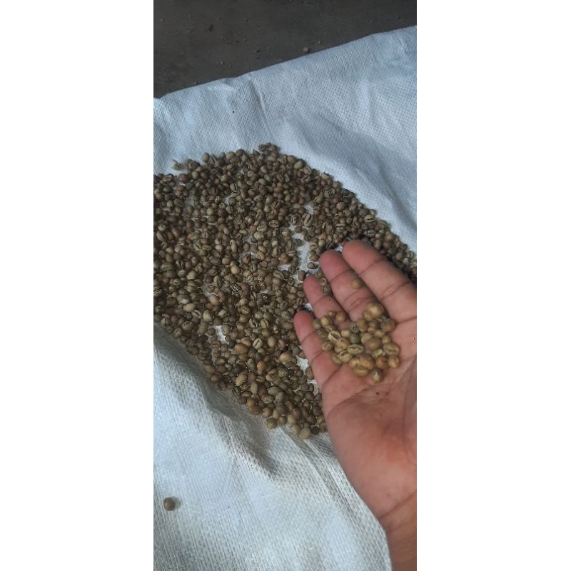 

KOPI LANANNG JENIS ROBUSTA 1kg