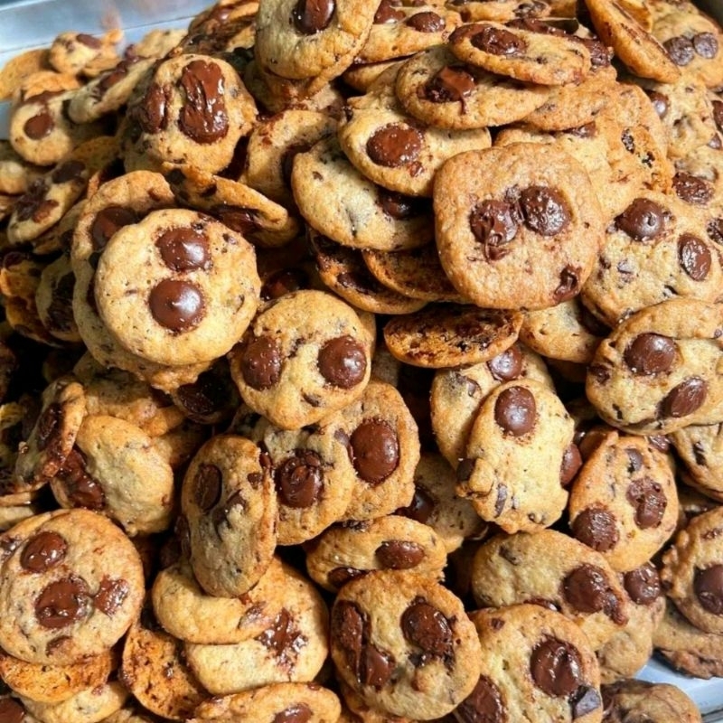 

SEASALTCOOKIES/COOKIES~ASIN-500grPREMIUM