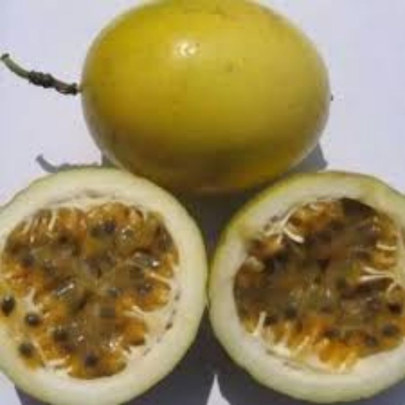 

buah markisa super