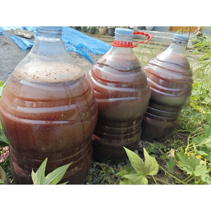 PSB (Photosynthetic Bacteria) 500ml