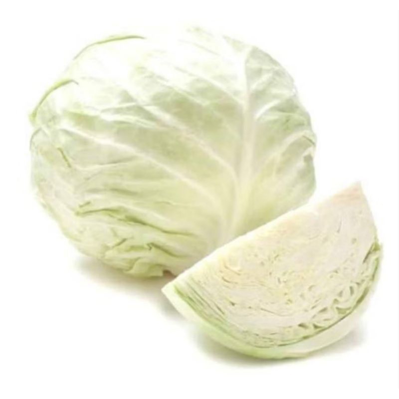 

SAYURAN KOL PUTIH 210 - 250 GR