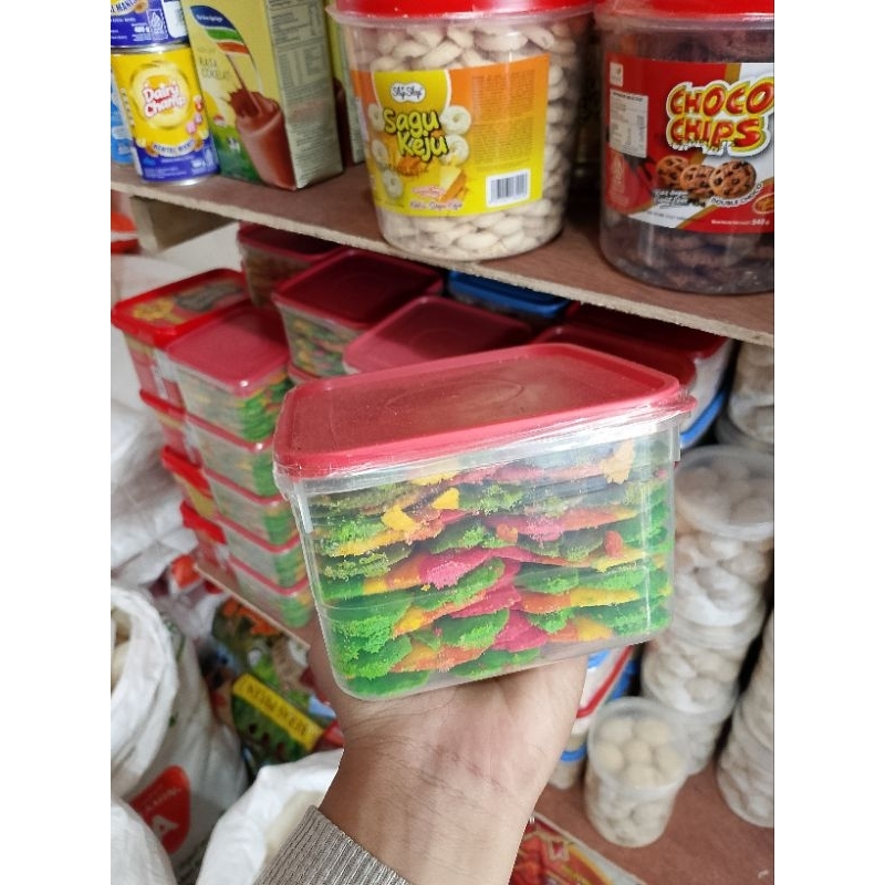 lidah kucing rainbow