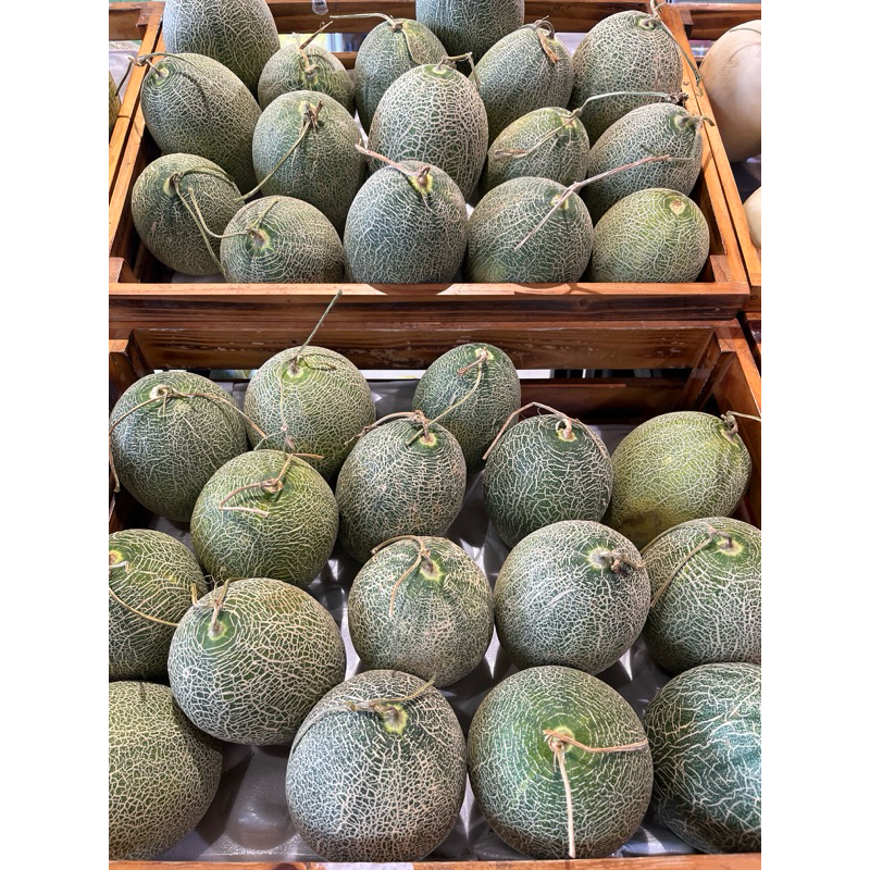 

Melon Hamikua lokal Sweet 1-1.2kg