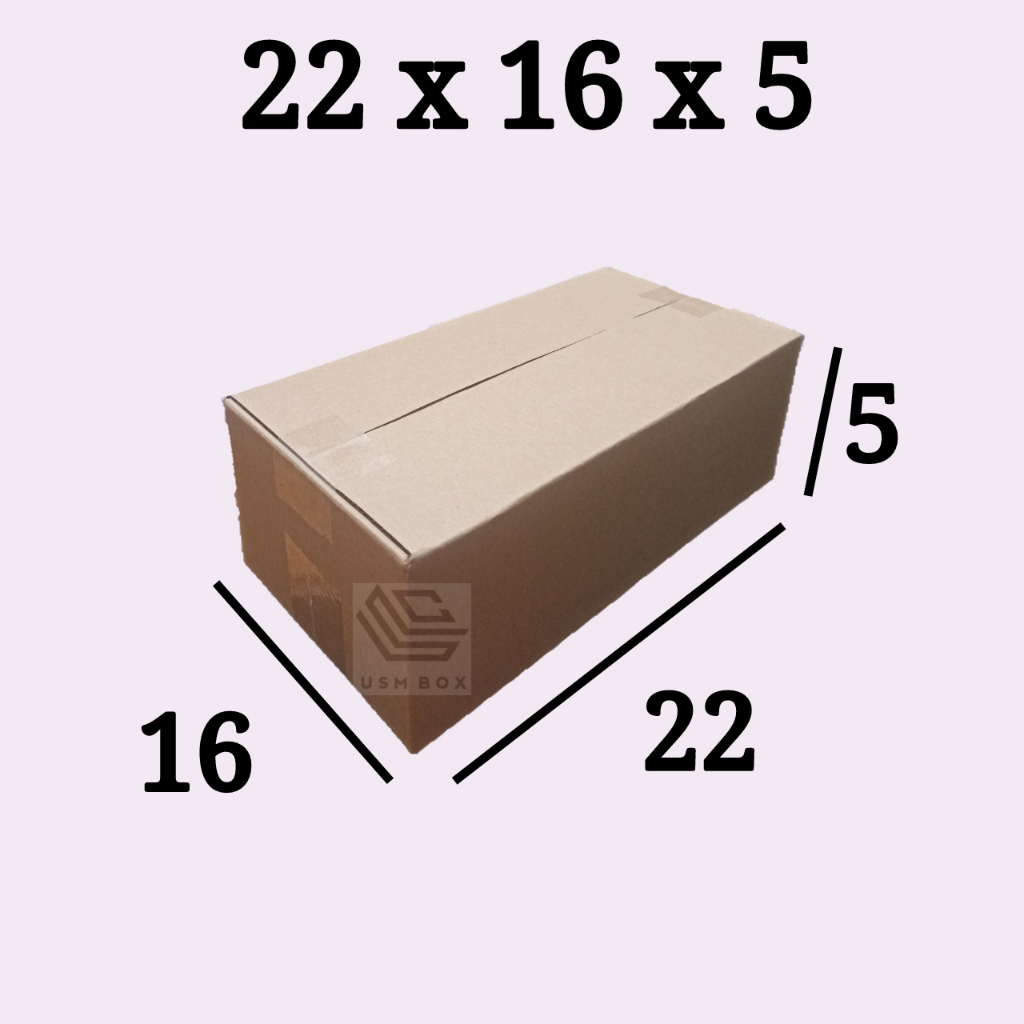 

Karton Box 22 x 16 x5