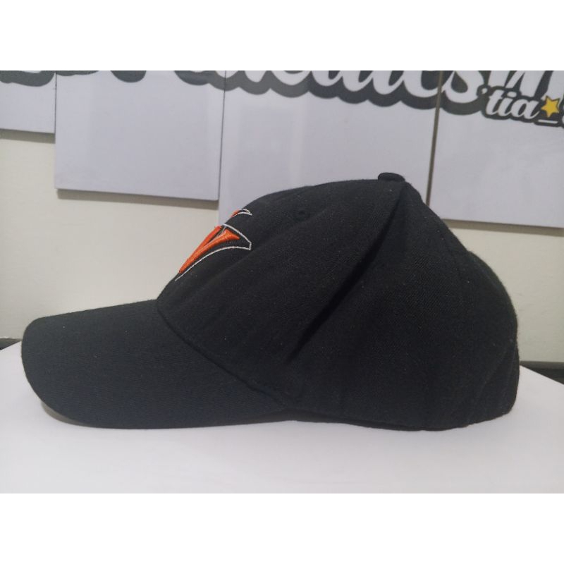Topi Flexfit