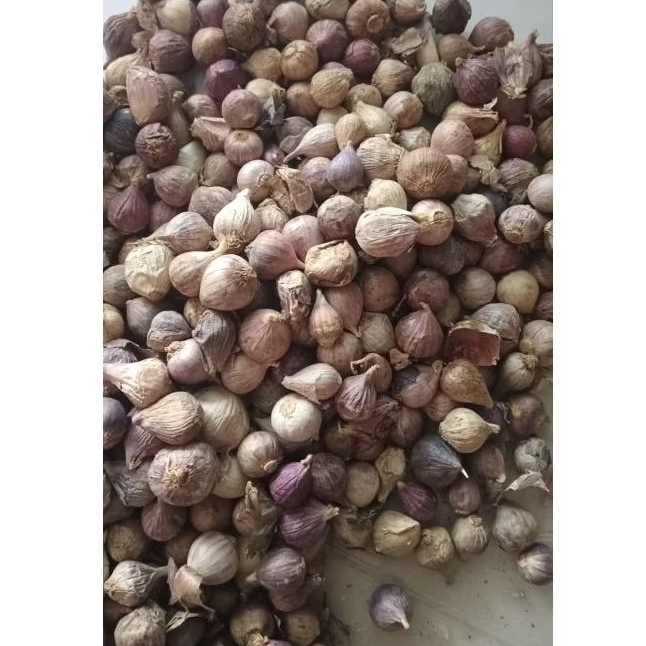 

bawang putih tunggal kecil 50grm