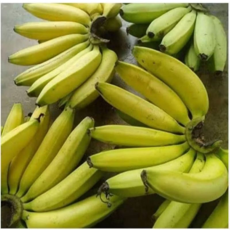 

buah pisang Ambon 1pcs