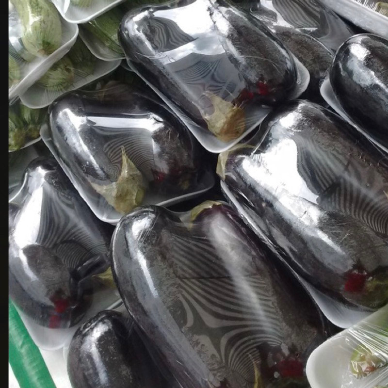 

Terong Ungu Segar Premium 250-500gm