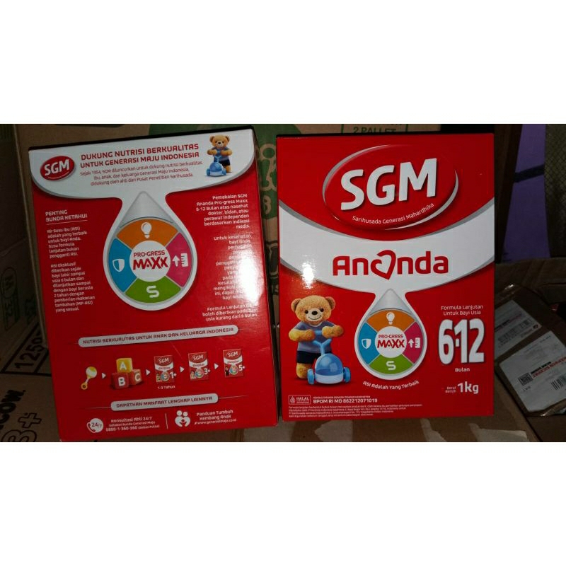 susu SGM 6-12 BULAN