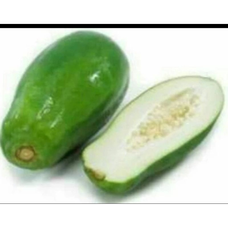 

pepaya muda 1,5 kg