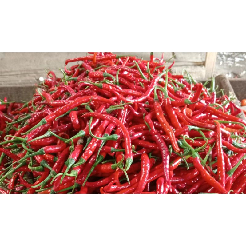 

sayur mayur cabe keritik merah250gr500gr1kg