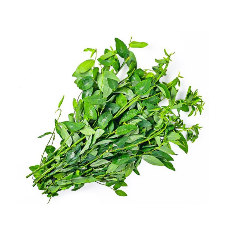 

Sayur Daun Katuk 1 ikat 100 gr