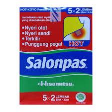 SALONPAS HOT 5 X 2 - BOX
