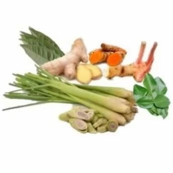 

Serai Lengkuas Jahe Kencur Kunyit Daun Salam Daun Jeruk Paket Bumbu Dapur Komplit