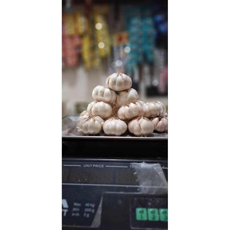 

Bawang putih 1 kilo