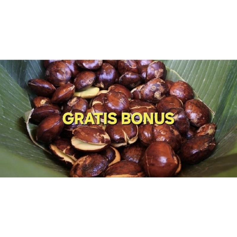 

JENGKOL ¼ | GRATIS BONUS