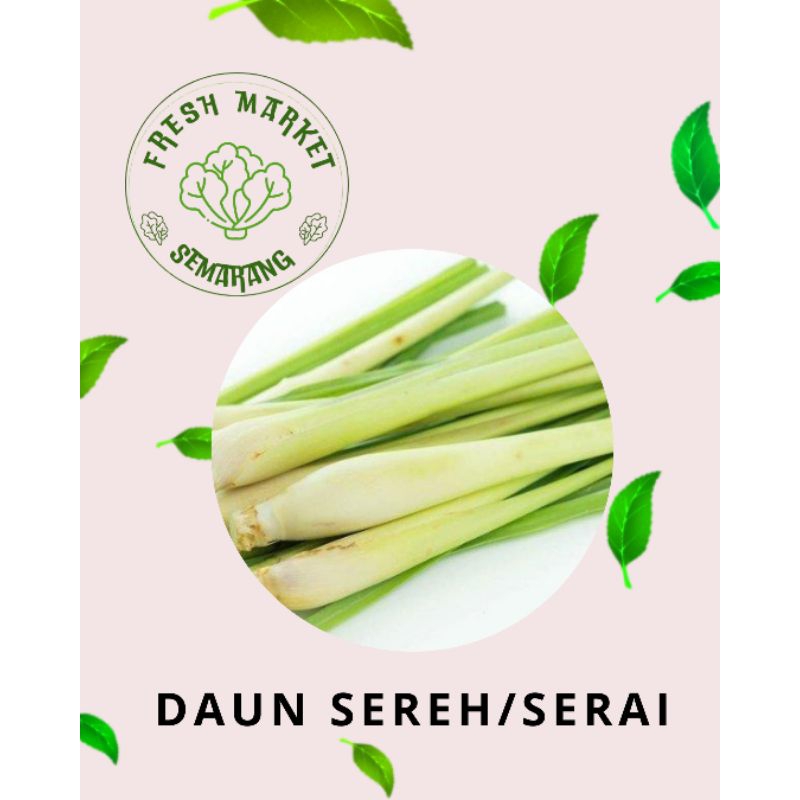 

[INSTAN] DAUN SEREH/SERAI/SERE UNTUK AROMATIK MASAKAN SEMARANG