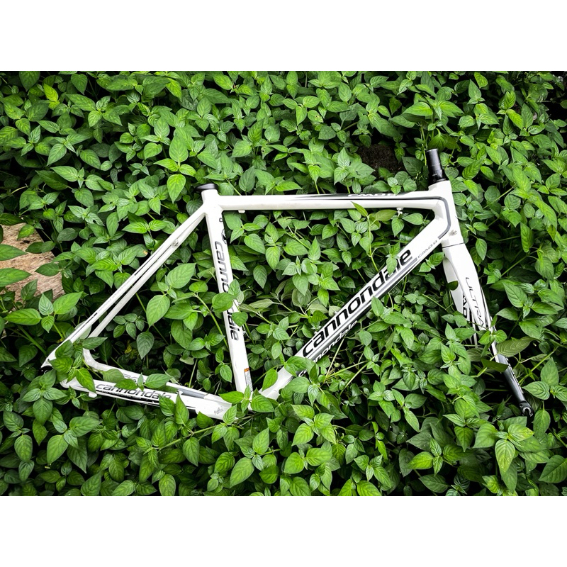 FRAMESET CANNONDALE CAAD 8 SIZE 51 REQUEST ORDER TUKAR TAMBAH