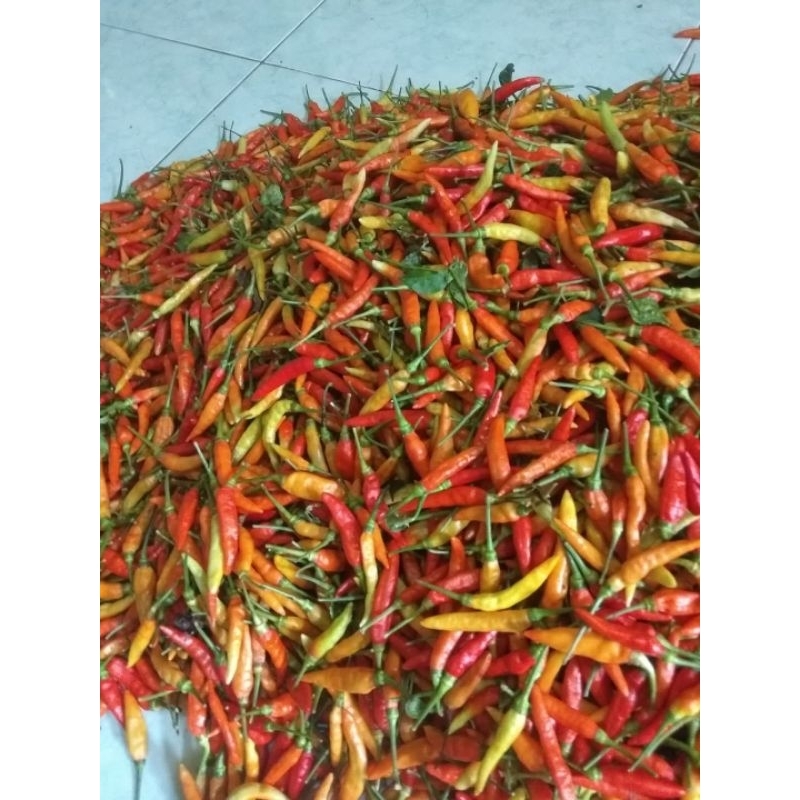 

Cabai Rawit Merah Fresh