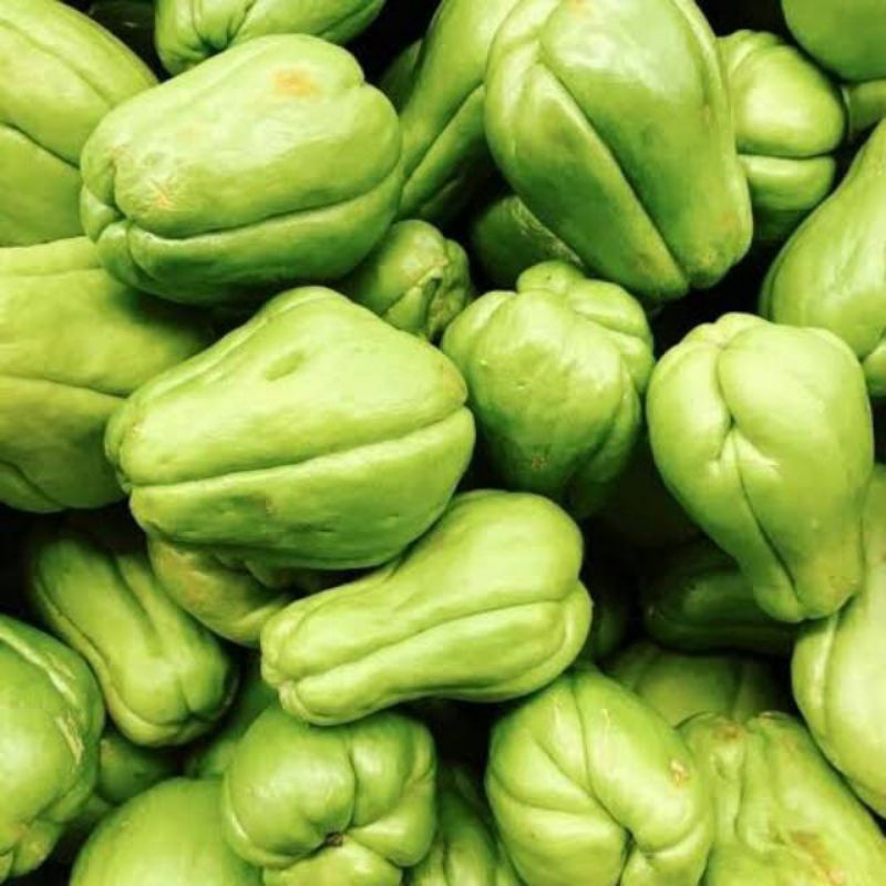 

Labu Siam Fresh Langsung dari Kebun 250g