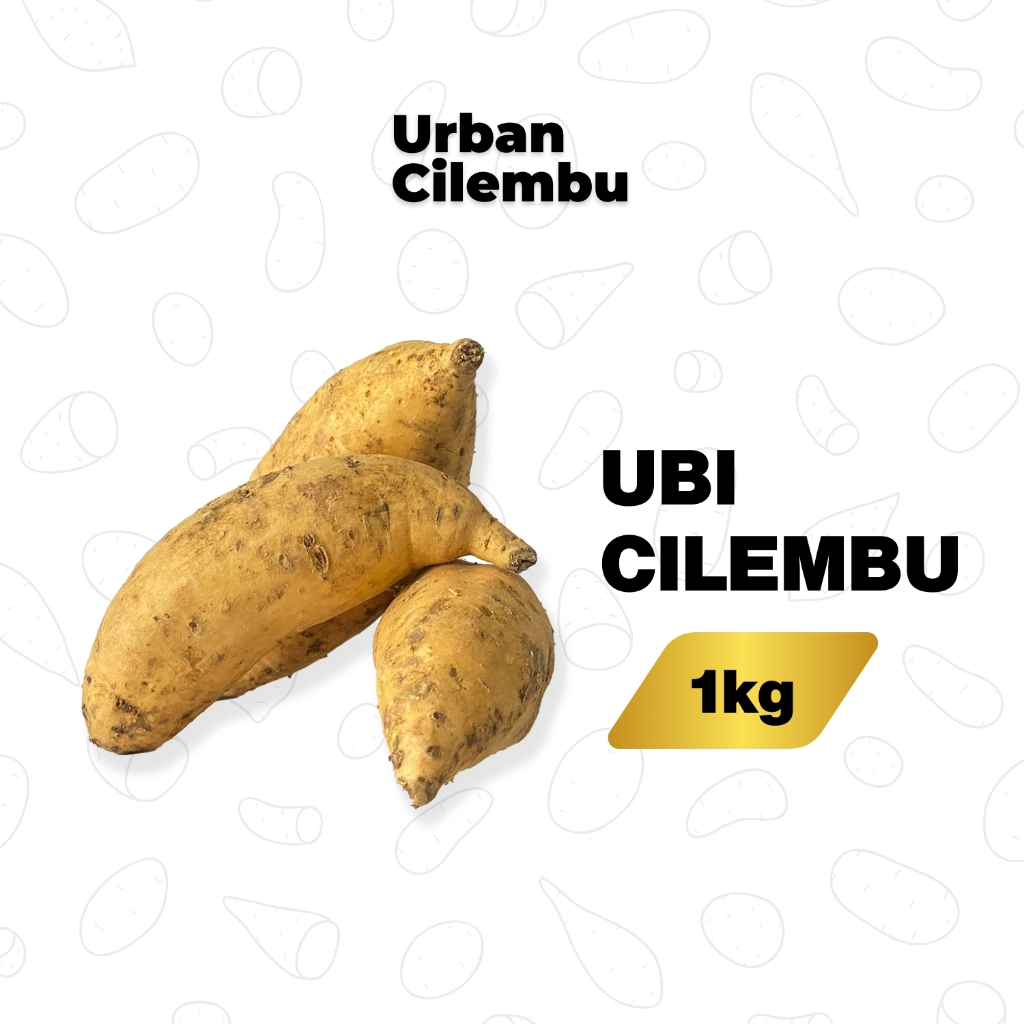 

Ubi Cilembu Mentah Asli Manis Legit [1kg] - Bonus Resep Penyajian!