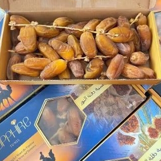 

Kurma Tunisia