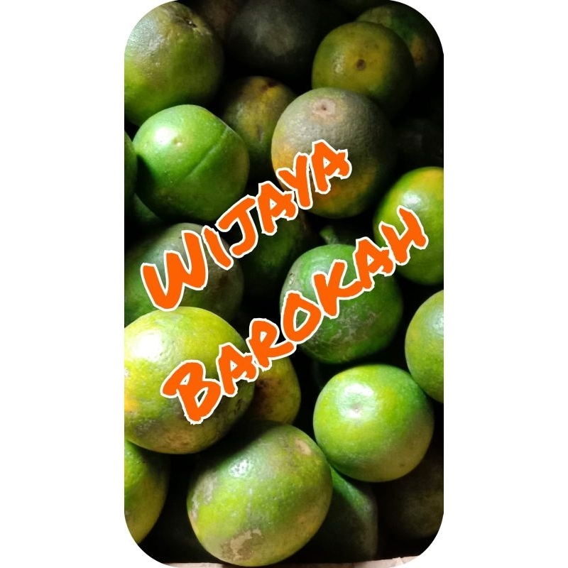 

Jeruk Baby Java Malang Manis/Jeruk MPASI Fresh baru petik, berat 1Kg