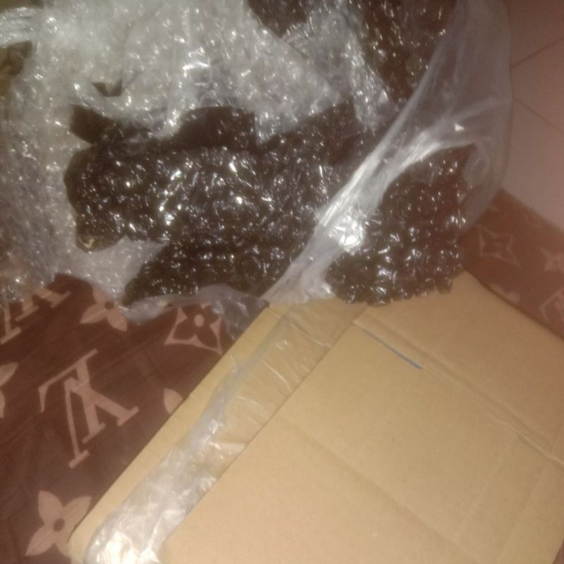 

kardus dan buble wrap