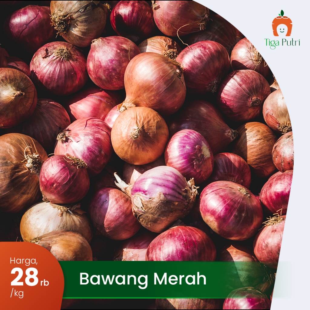

BAWANG MERAH SUPER SEGAR! UKURAN BESAR, WANGI TAJAM!
