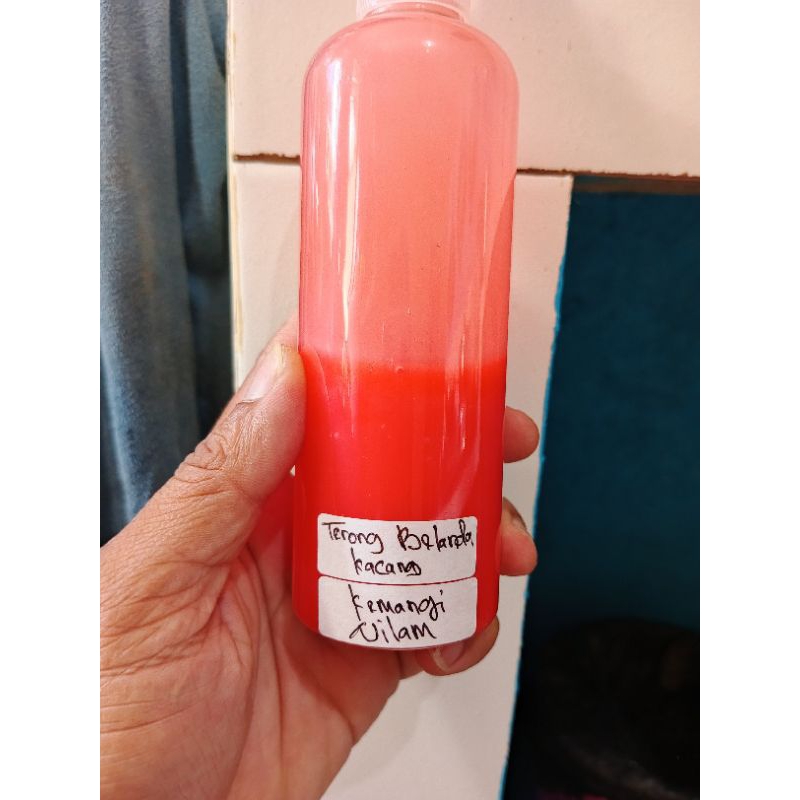 essen mancing ikan mas aroma terong Belanda kacang kemangi nilam