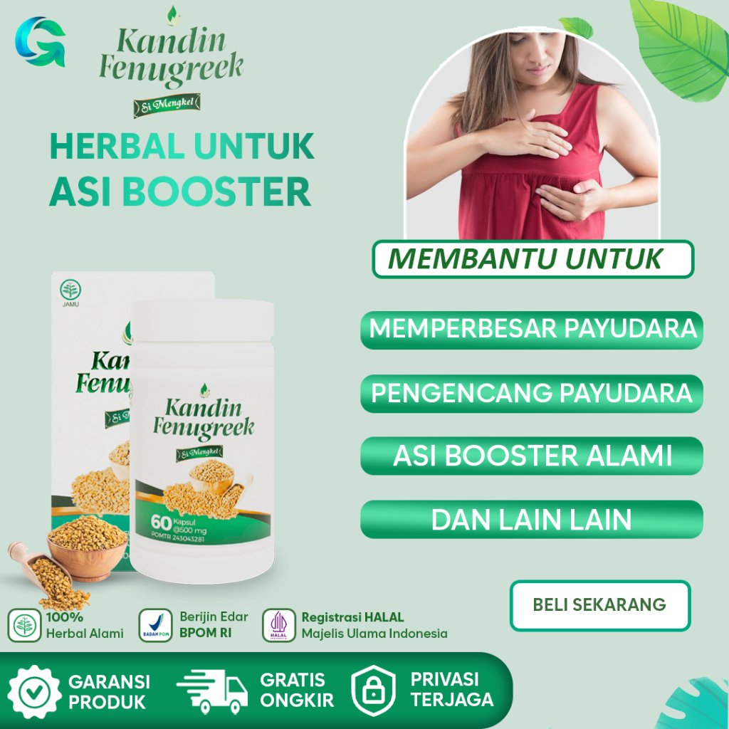 Obat Pembesar Payudara Pengencang Payudara Solusi Payudara Turun Alami - Herbal Fenugreek Simengkel
