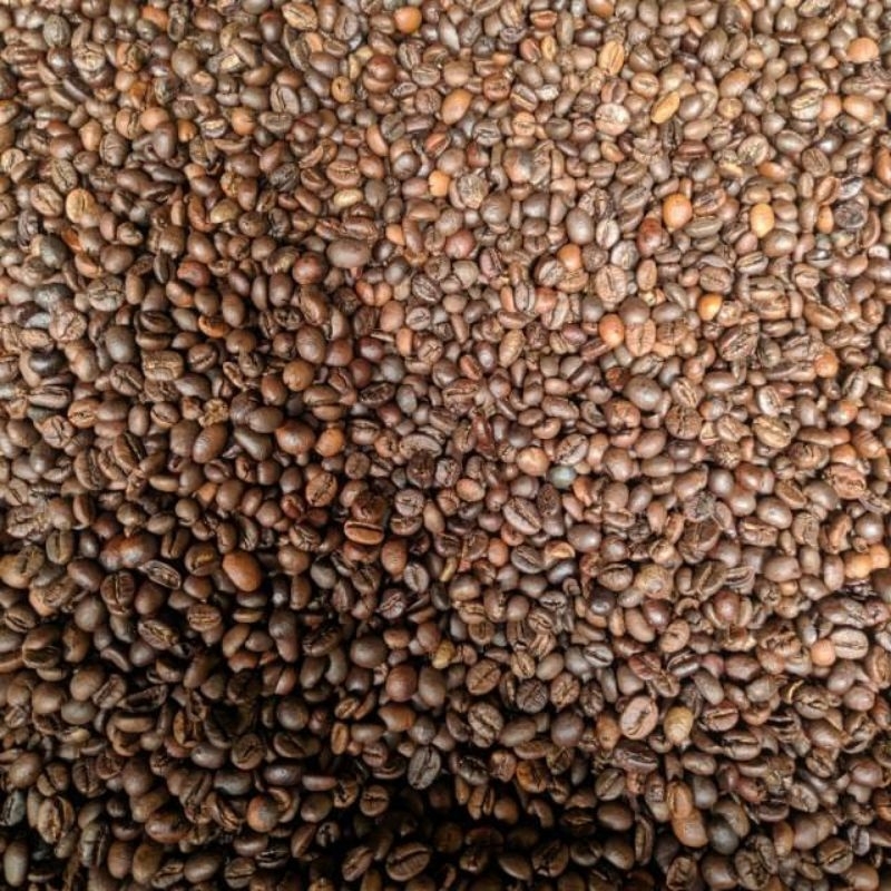 

10kg Roastedbean Kopi Bubuk dan Kopi Biji Robusta Lampung Grosir