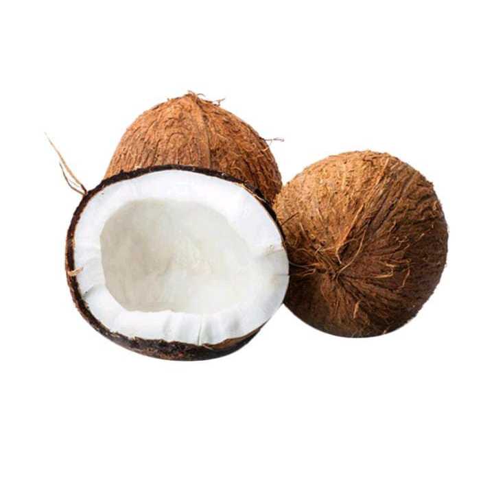 

Buah Kelapa Tua Per Butir Murah Kelapa Batok Utuh