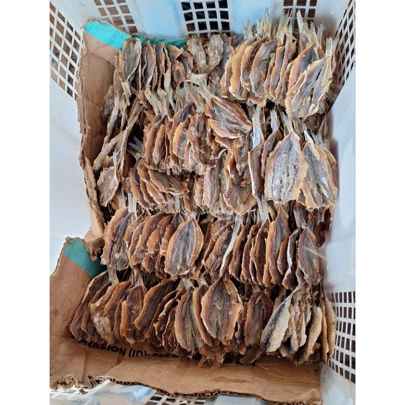

Ikan Tembang Belahan
