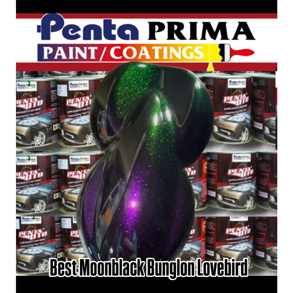 Best Moonblack Bunglon Lovebird cat mobil & motor