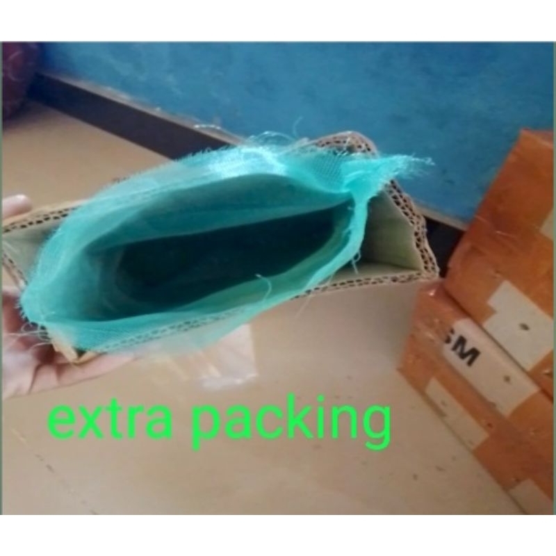 

extra packing untuk tokek